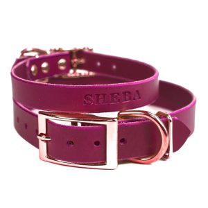 personalized leather dog collar with engraved name magenta