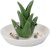 Ceramic Aloe Ring Holder with Decorative White Dish – Jewelry Gift