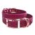 Personalized Leather Dog Collar with Engraved Name (Magenta)